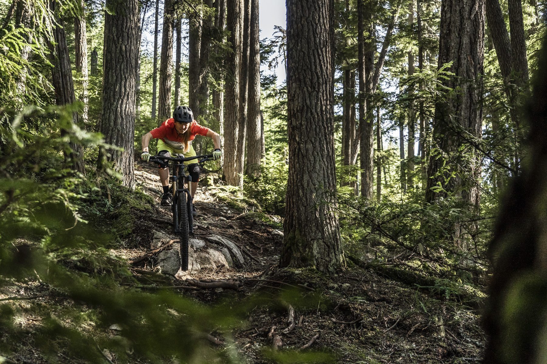 Mountain biker on a forest trail, illustrating the minerals and metals in a mountain bike